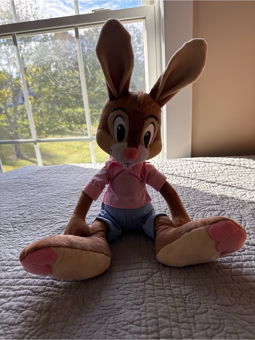 Brer Rabbit Splash Mountain Plush